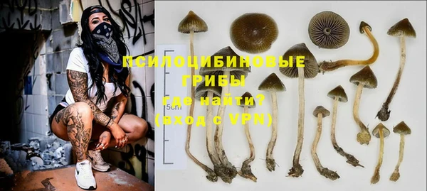 каннабис Майский