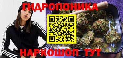 mdpv Пенза