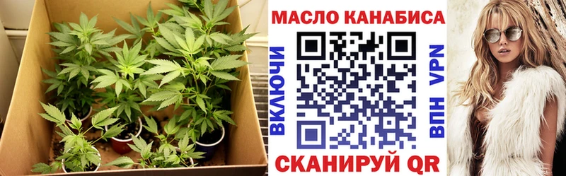 мега tor  Урус-Мартан  Дистиллят ТГК гашишное масло  наркошоп 