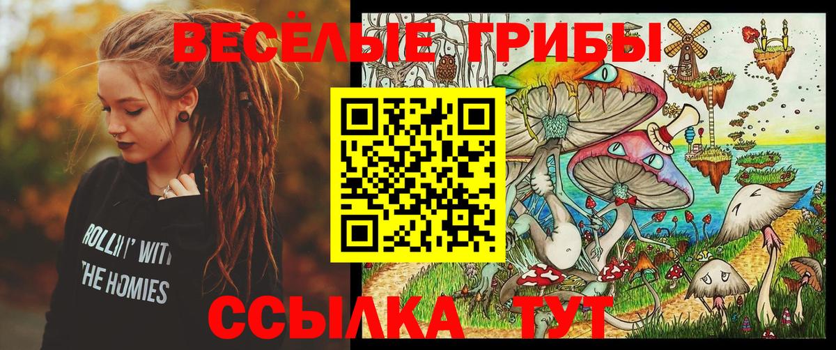 Псилоцибиновые грибы Psilocybe Урус-Мартан