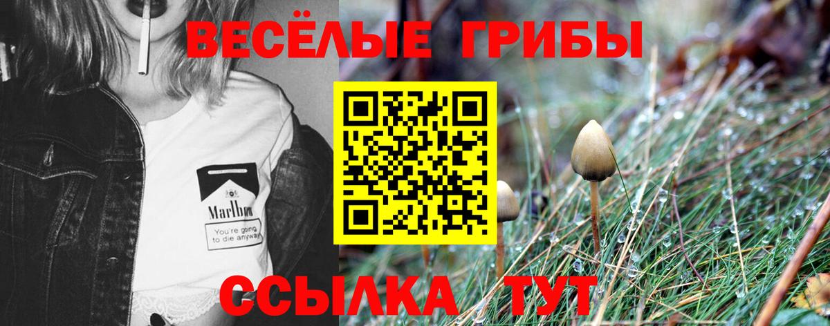Псилоцибиновые грибы MAGIC MUSHROOMS  Галлюциногенные грибы ЛСД  Вход с VPN  Урус-Мартан 