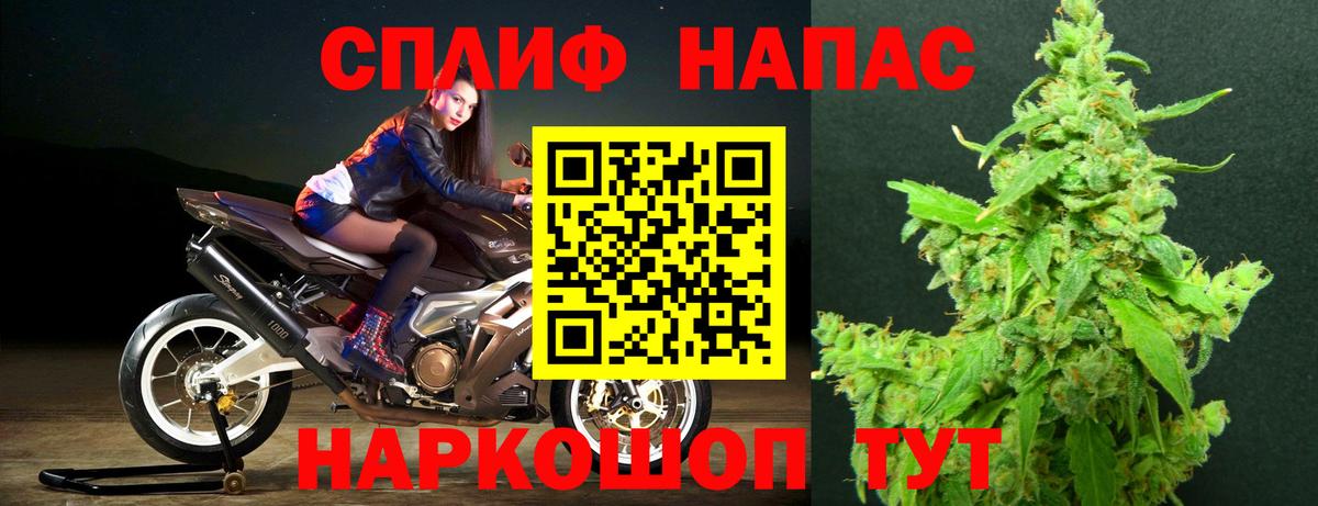 Урус-Мартан  Шишки марихуана сатива  Канабис сатива  Вход с VPN  Бошки Шишки VHQ  Конопля тримм 